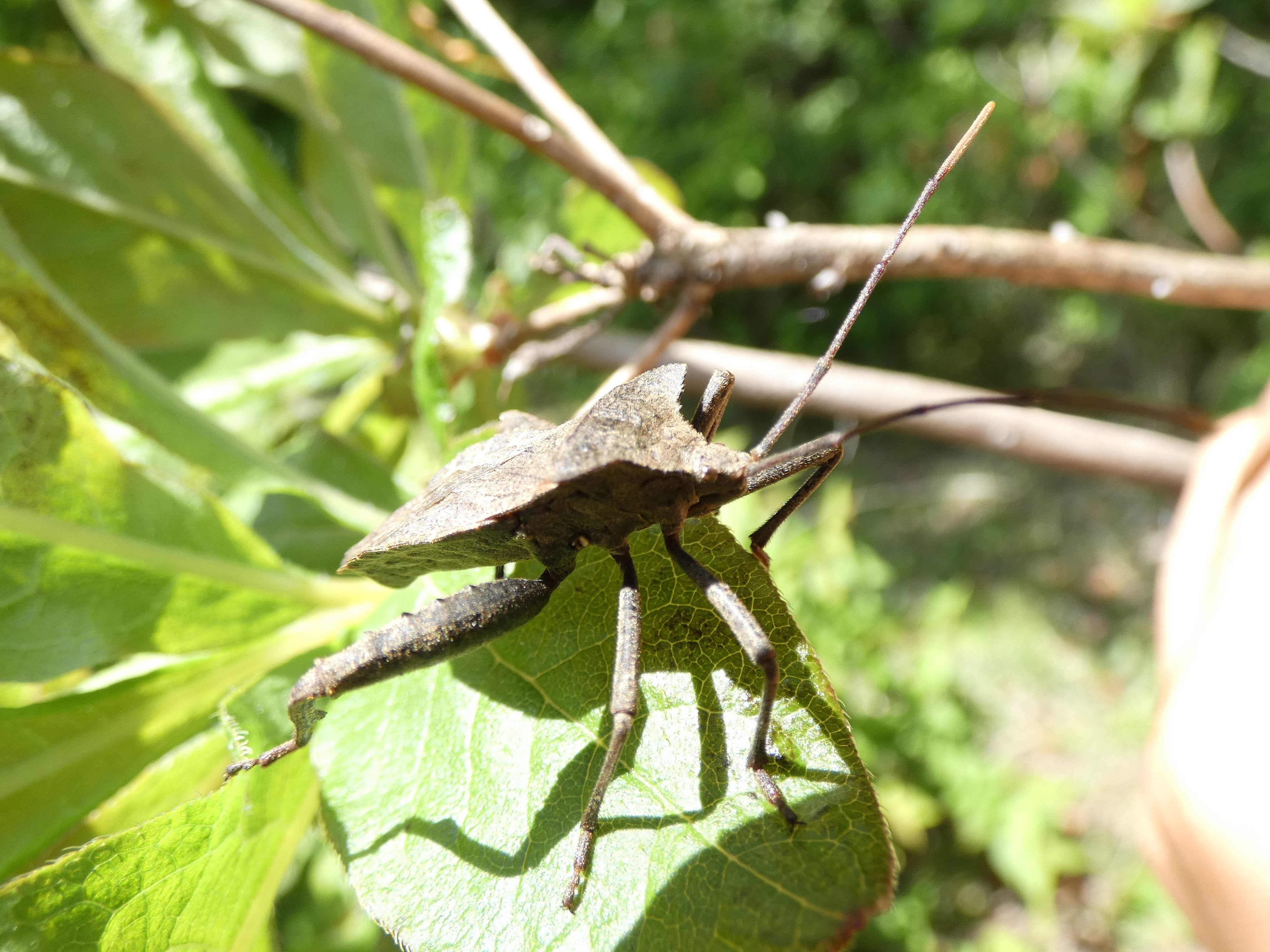 photo_1